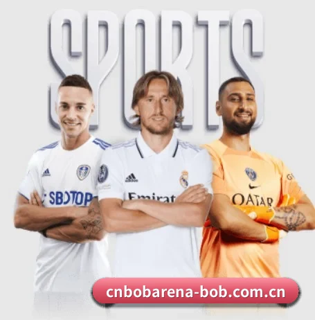 BOB体育官网 APP 界面